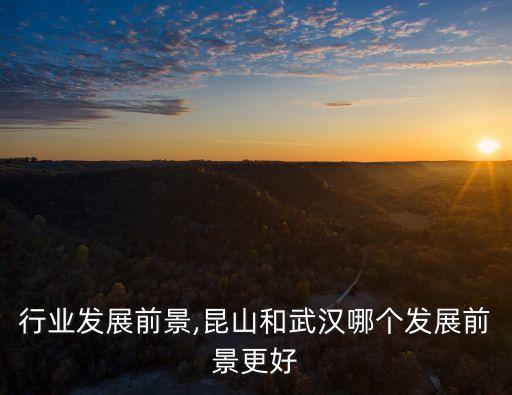 昆山行业发展前景,昆山和武汉哪个发展前景更好
