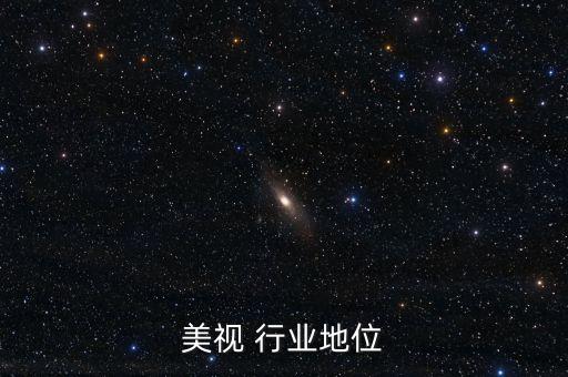 广州美视 行业地位