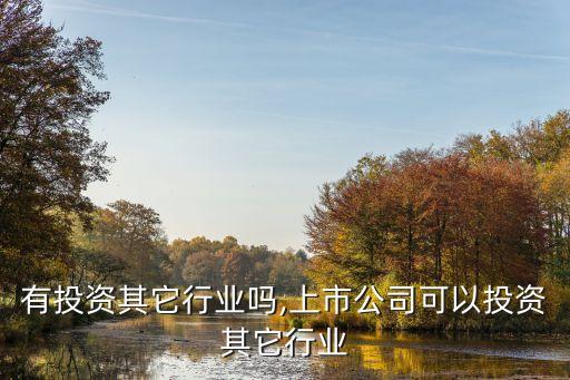 华为有投资其它行业吗,上市公司可以投资其它行业