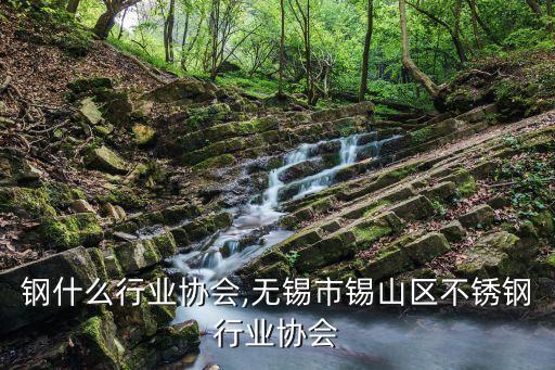 不锈钢什么行业协会,无锡市锡山区不锈钢行业协会