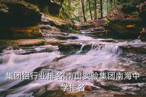 南山集团铝行业排名,南山实验集团南海中学排名