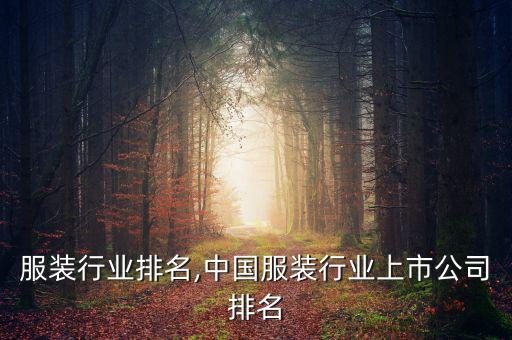 温州服装行业排名,中国服装行业上市公司排名