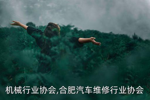 合肥机械行业协会,合肥汽车维修行业协会