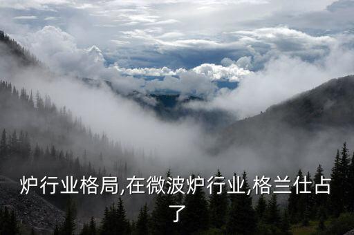 微波炉行业格局,在微波炉行业,格兰仕占了
