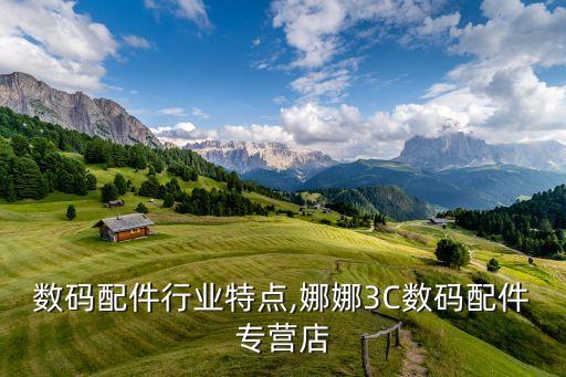 3c数码配件行业特点,娜娜3C数码配件专营店