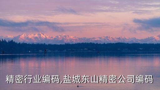 东山精密行业编码,盐城东山精密公司编码