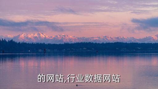 行业的网站,行业数据网站