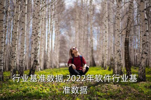 软件行业基准数据,2022年软件行业基准数据