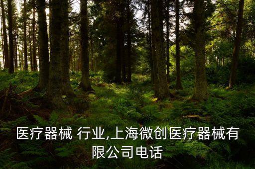 微创医疗器械 行业,上海微创医疗器械有限公司电话