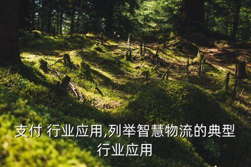智慧支付 行业应用,列举智慧物流的典型行业应用