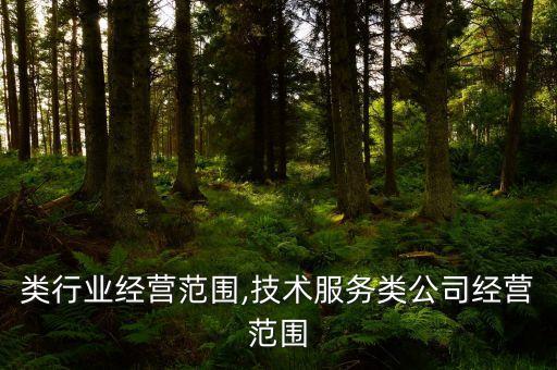 服务类行业经营范围,技术服务类公司经营范围
