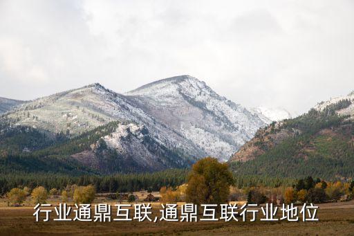 通信行业通鼎互联,通鼎互联行业地位