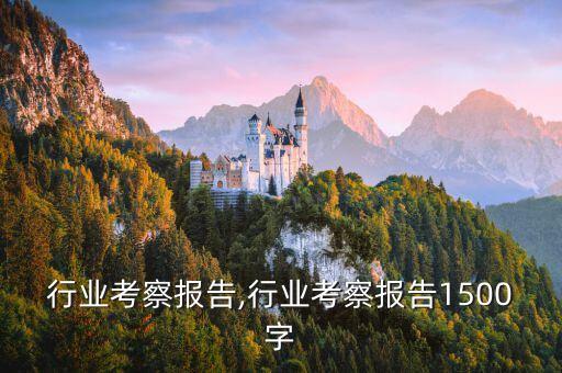 玩偶行业考察报告,行业考察报告1500字
