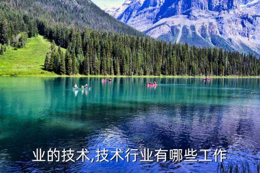 锂行业的技术,技术行业有哪些工作
