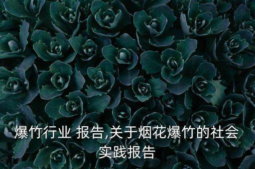 烟花爆竹行业 报告,关于烟花爆竹的社会实践报告