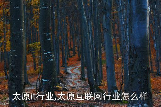 山西太原it行业,太原互联网行业怎么样