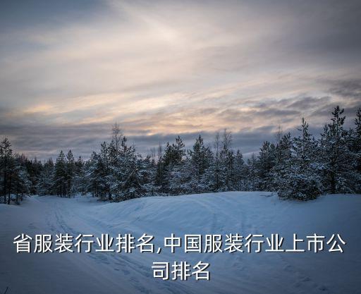 福建省服装行业排名,中国服装行业上市公司排名