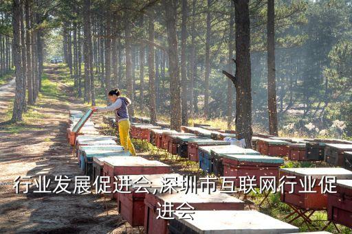 中国行业发展促进会,深圳市互联网行业促进会
