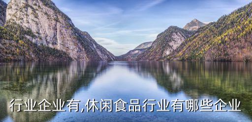 食品行业企业有,休闲食品行业有哪些企业
