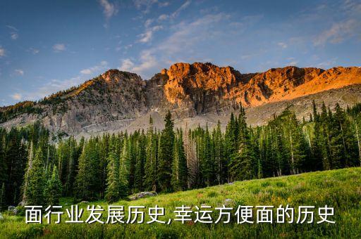 方便面行业发展历史,幸运方便面的历史