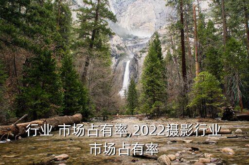 体检行业 市场占有率,2022摄影行业市场占有率