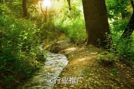 idc行业推广