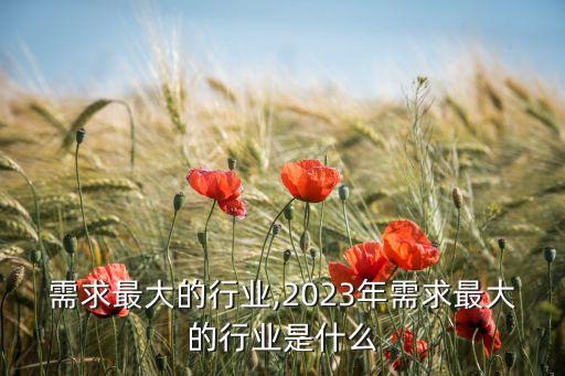加工需求最大的行业,2023年需求最大的行业是什么