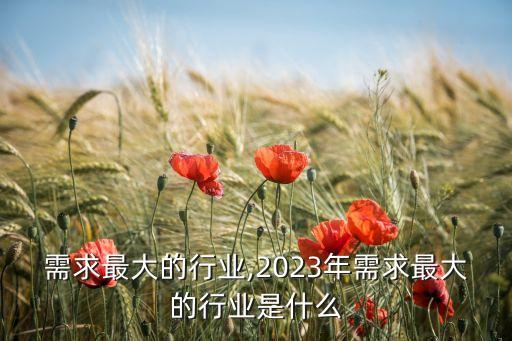 加工需求最大的行业,2023年需求最大的行业是什么