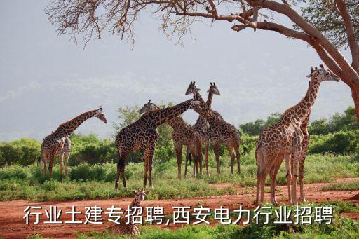 电力行业土建专招聘,西安电力行业招聘