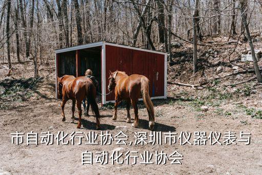 杭州市自动化行业协会,深圳市仪器仪表与自动化行业协会