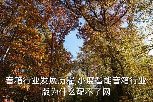 智能音箱行业发展历程,小度智能音箱行业版为什么配不了网