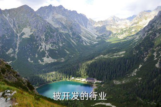 没有被开发的行业