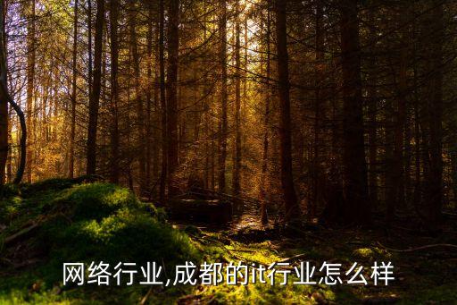 成都网络行业,成都的it行业怎么样