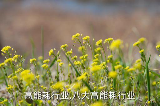 六大高能耗行业,八大高能耗行业