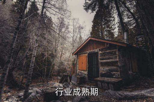 钢铁行业成熟期