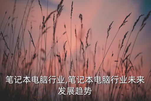 我国笔记本电脑行业,笔记本电脑行业未来发展趋势