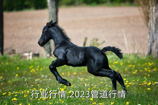 管道行业行情,2023管道行情