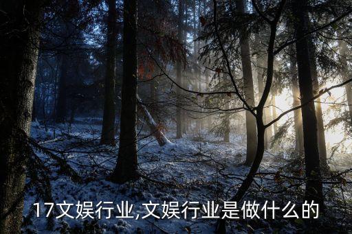 2017文娱行业,文娱行业是做什么的