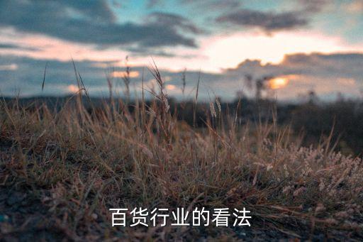 你对百货行业的看法