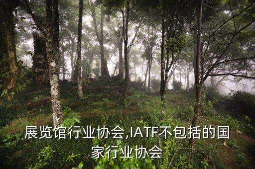 国家展览馆行业协会,IATF不包括的国家行业协会
