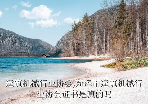 天津建筑机械行业协会,菏泽市建筑机械行业协会证书是真的吗