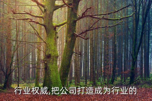 打造行业权威,把公司打造成为行业的