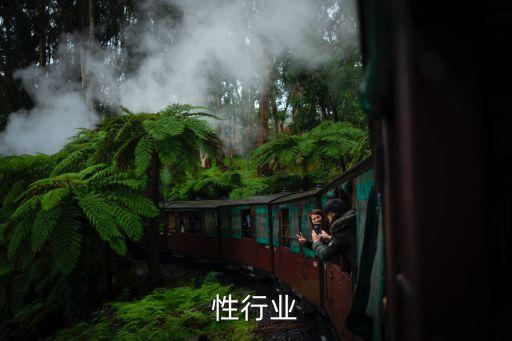 技术性行业