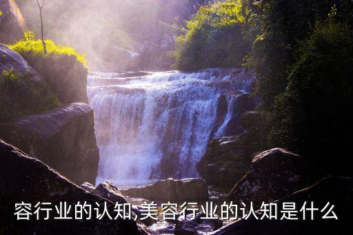 对美容行业的认知?,美容行业的认知是什么