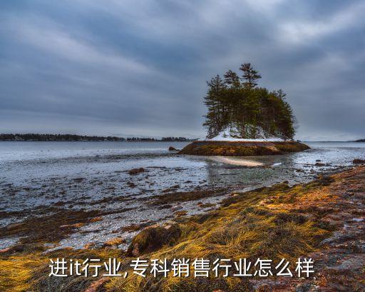 专科进it行业,专科销售行业怎么样