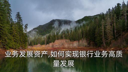 银行业务发展资产,如何实现银行业务高质量发展