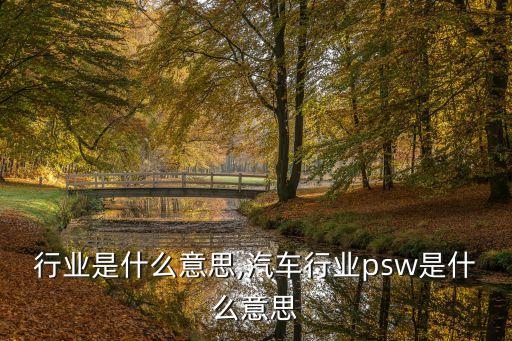 地区行业是什么意思,汽车行业psw是什么意思