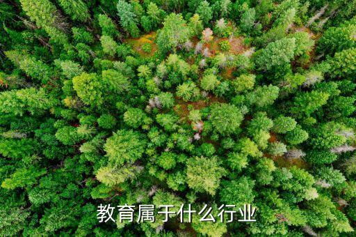 在线教育属于什么行业