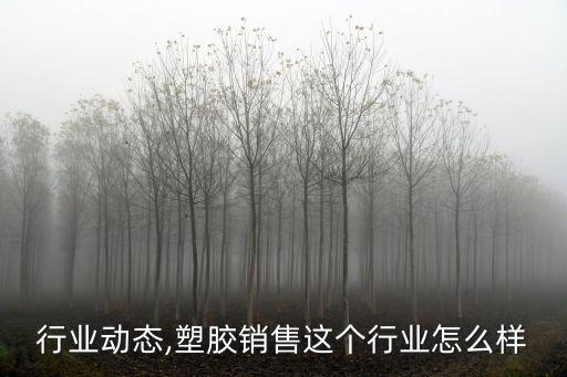 塑胶行业动态,塑胶销售这个行业怎么样