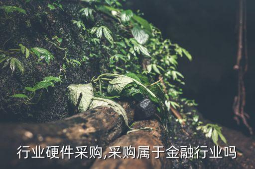 金融行业硬件采购,采购属于金融行业吗